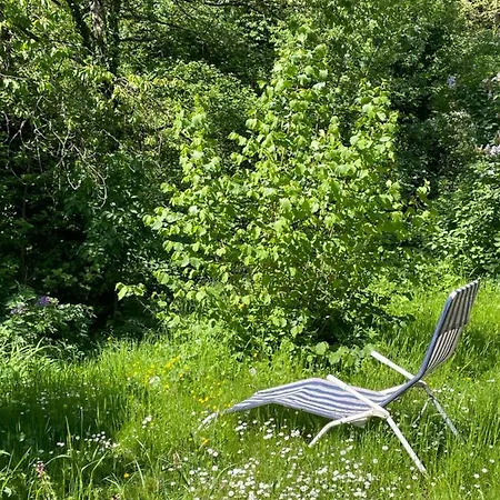 Ferienwohnung Südliche Weinstraße Zwischen Wald Und Reben Apartamento Klingenmünster
