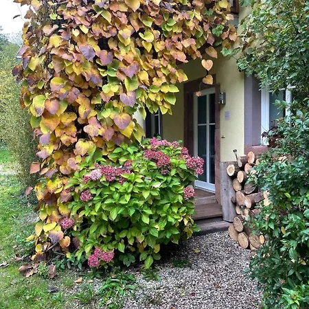Ferienwohnung Südliche Weinstraße Zwischen Wald Und Reben