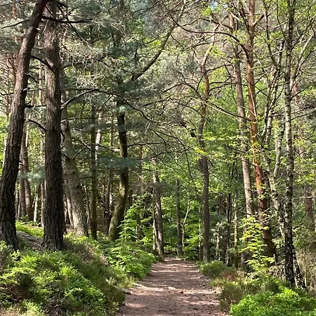 Ferienwohnung Südliche Weinstraße Zwischen Wald Und Reben *