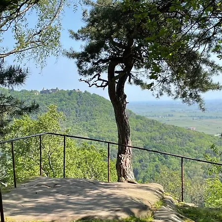 Apartamento Ferienwohnung Südliche Weinstraße Zwischen Wald Und Reben