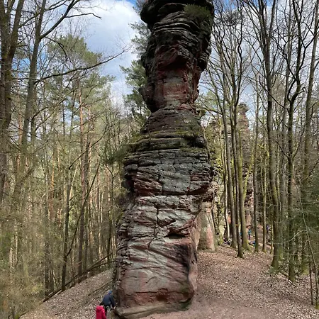 Ferienwohnung Südliche Weinstraße Zwischen Wald Und Reben Apartamento Klingenmünster