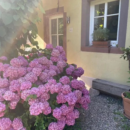 Ferienwohnung Südliche Weinstraße Zwischen Wald Und Reben Apartamento